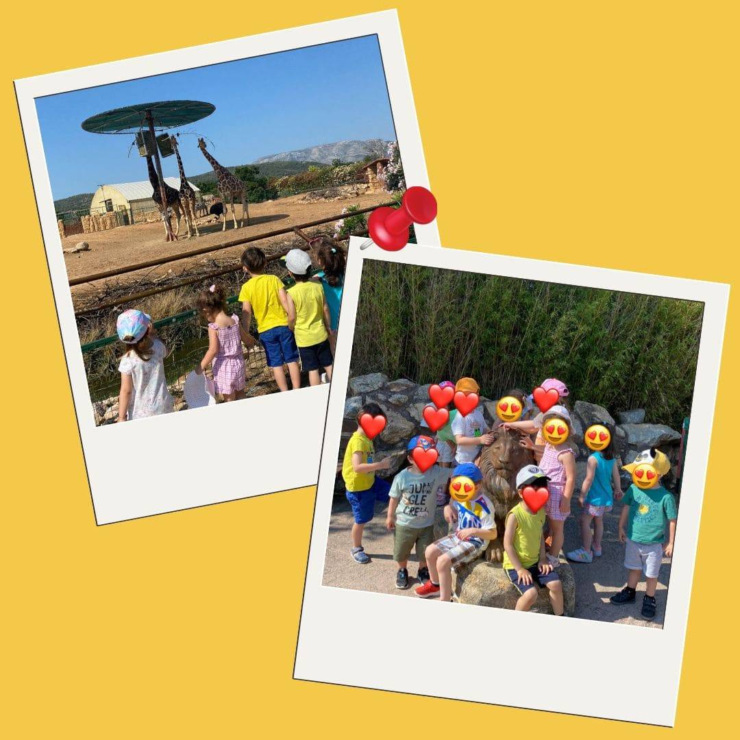 You are currently viewing Επίσκεψη στο Αττικό Ζωολογικό Πάρκο